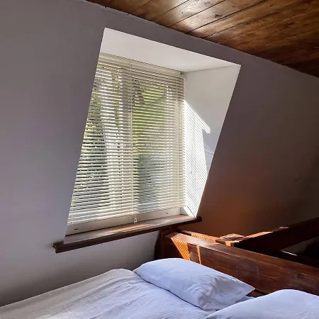 Salo I Mandry Apartamento Rakhiv